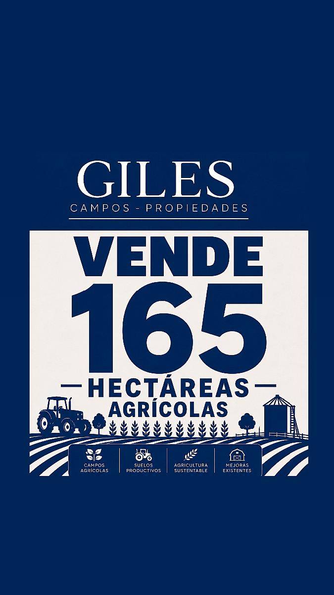 Campo 165 Hectáreas Agrícolas Baradero