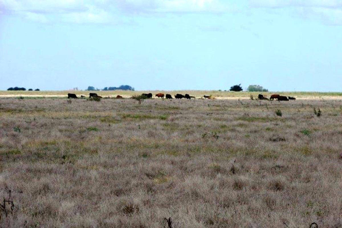Venta de Campo Mixto 2400 Has General Lavalle, Buenos Aires.