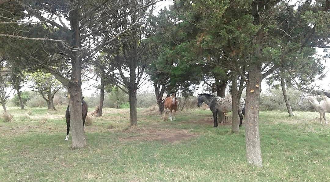 Inmobiliaria Pousa Pousa Vende