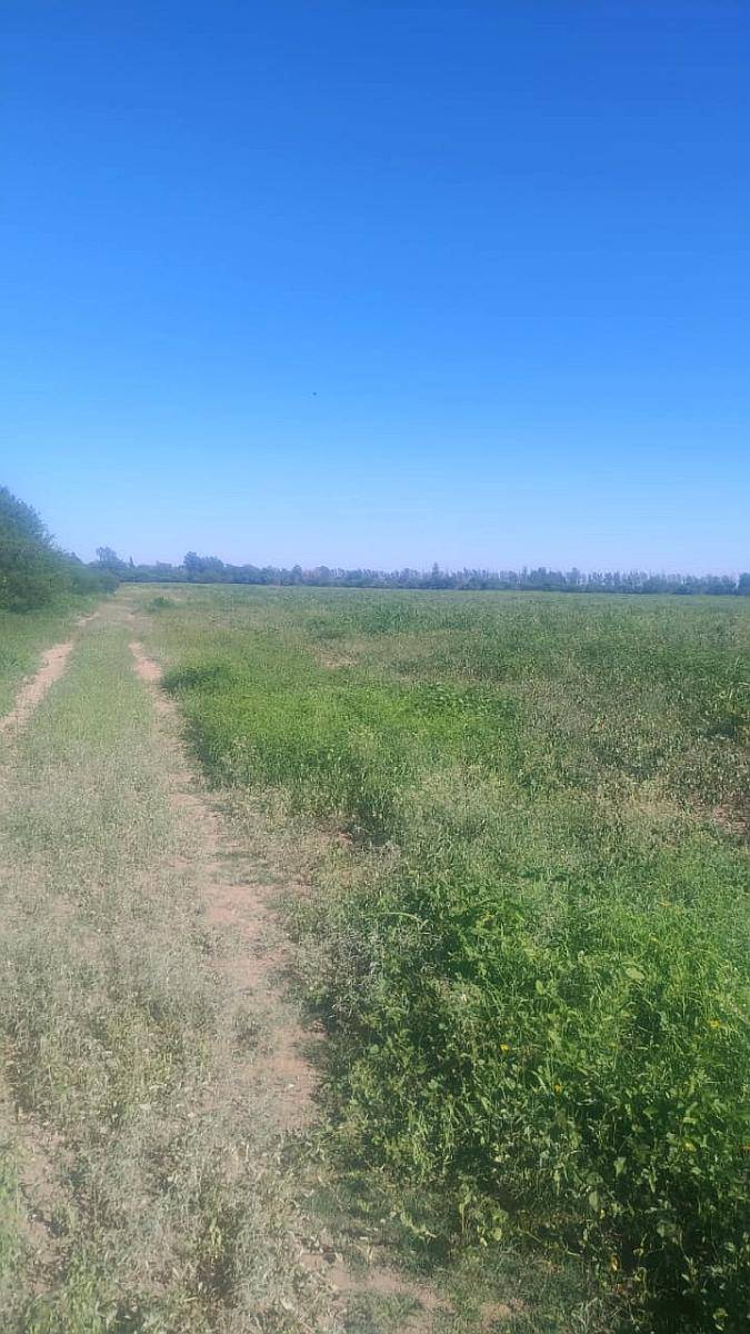La Chacra 16 Hectáreas para Cultivo, Zona Cruz del Eje