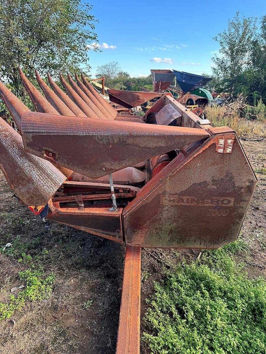 Maicero 8 / 52 Mainero 2000