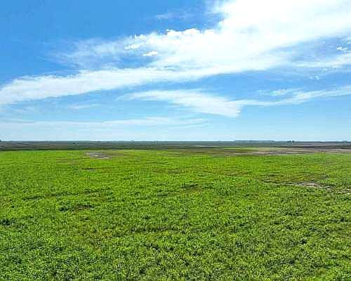 Vendo 300 Has Mixtas en Curapaligue, Próximo a Laboulaye