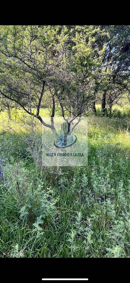 Oportunidad por Tiempo Limitado: Campo Listo para Trabajar