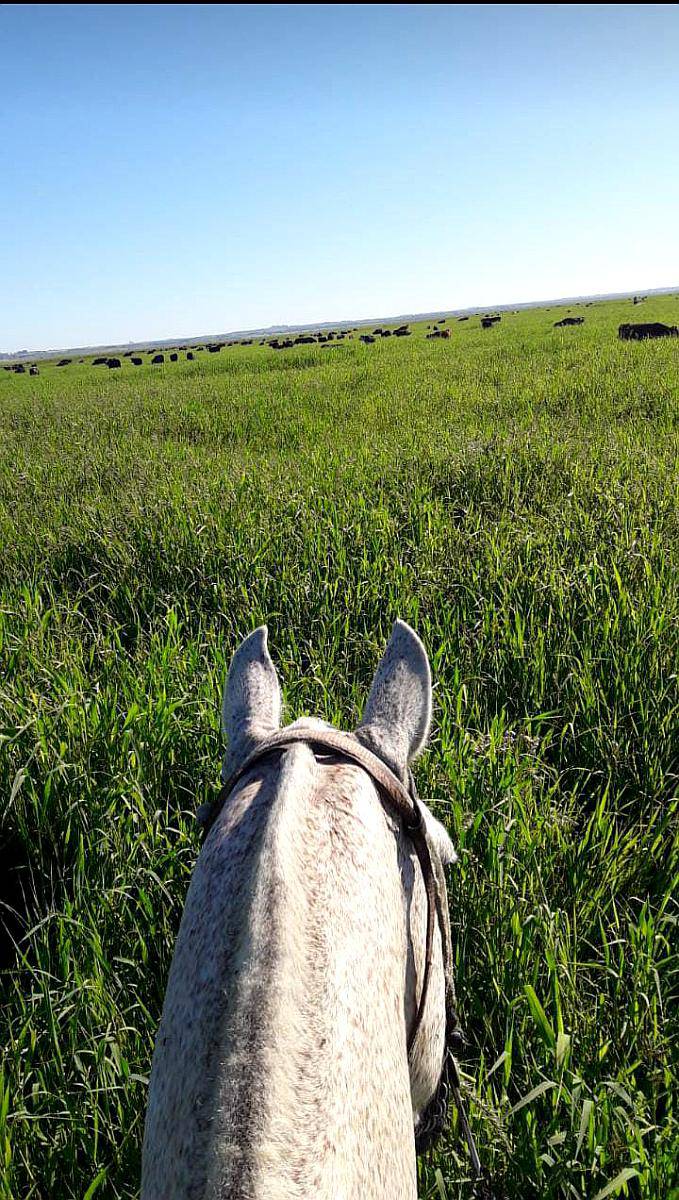 671 Ha Campo Ganadero Costa. Dpto Victoria