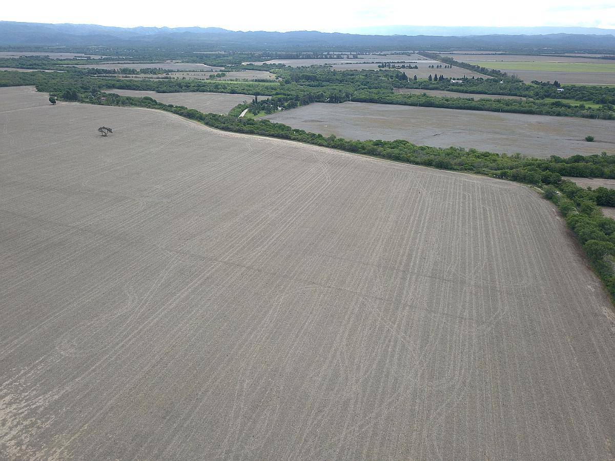 Venta 100 Has Agricolas Despeñaderos