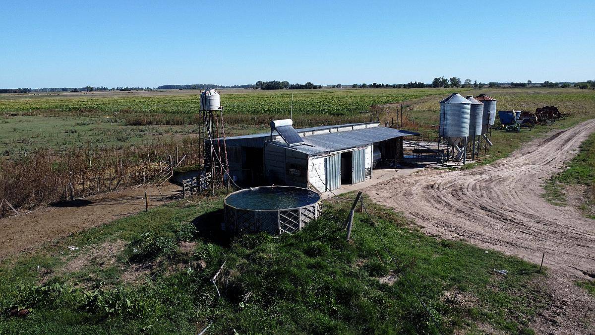 Fondo de Comercio: Tambo en Producción (monte, BS. As.)