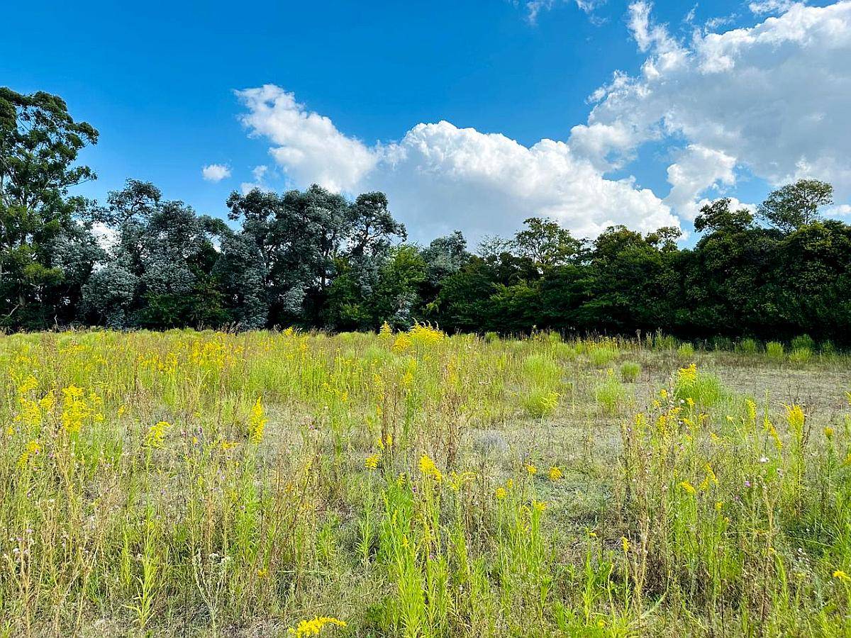 Mercedes, Buenos Aires - 14,5 Ha