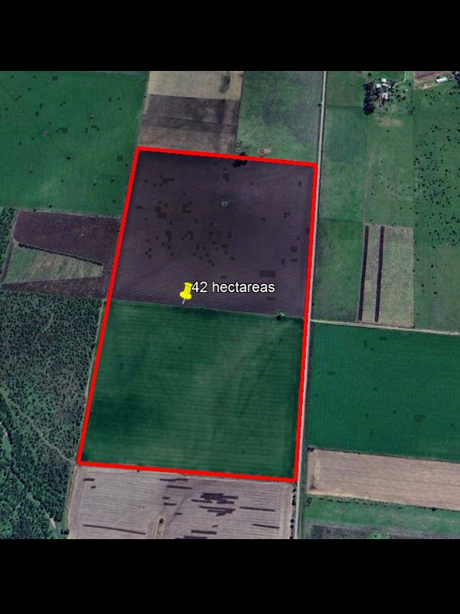 Campo de 42 Hectáreas Agrícolas