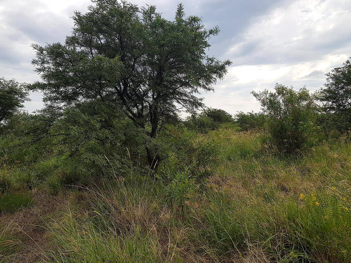 2900 Ha al SUR de Gancedo Ganadero para Venta