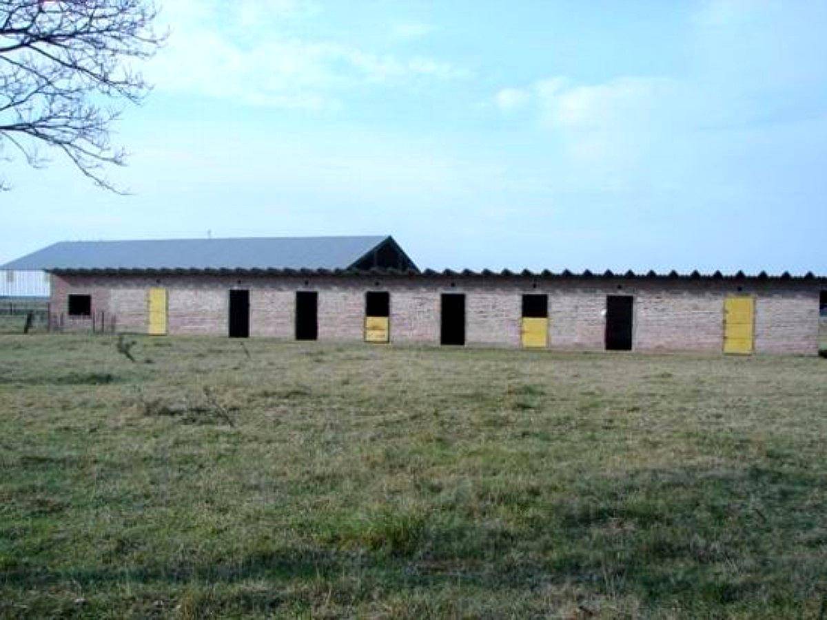 Lp0130 Venta Ganadero 8000 Has Caleu Caleu, la Pampa