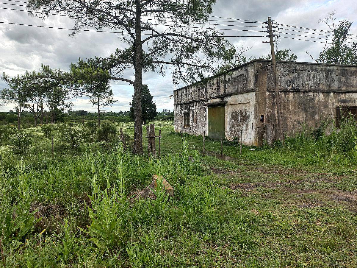 10 Hectareas de Chacra