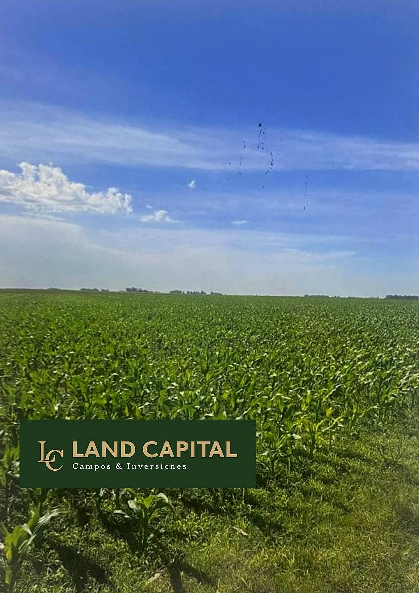 608 HA, Mixto, Azul