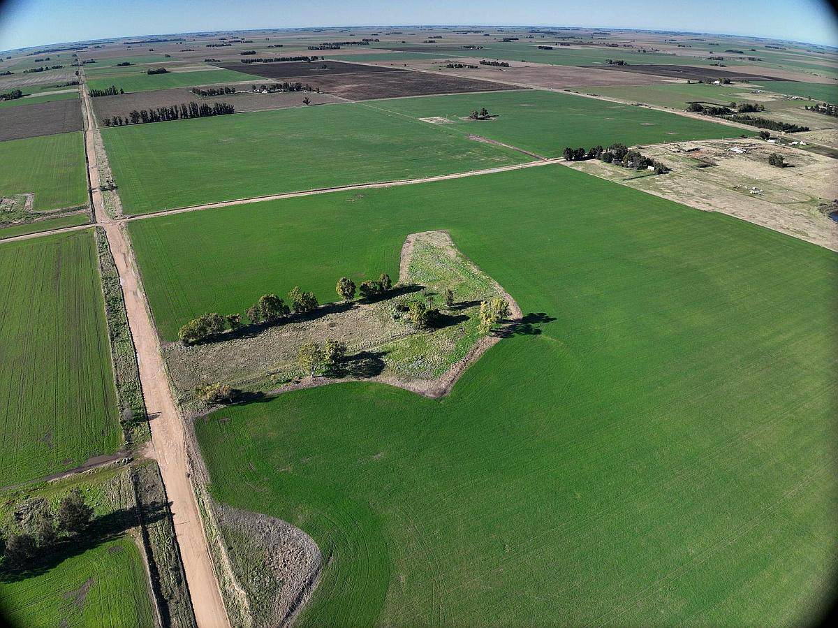Tres Arroyos, Buenos Aires - 120 Ha