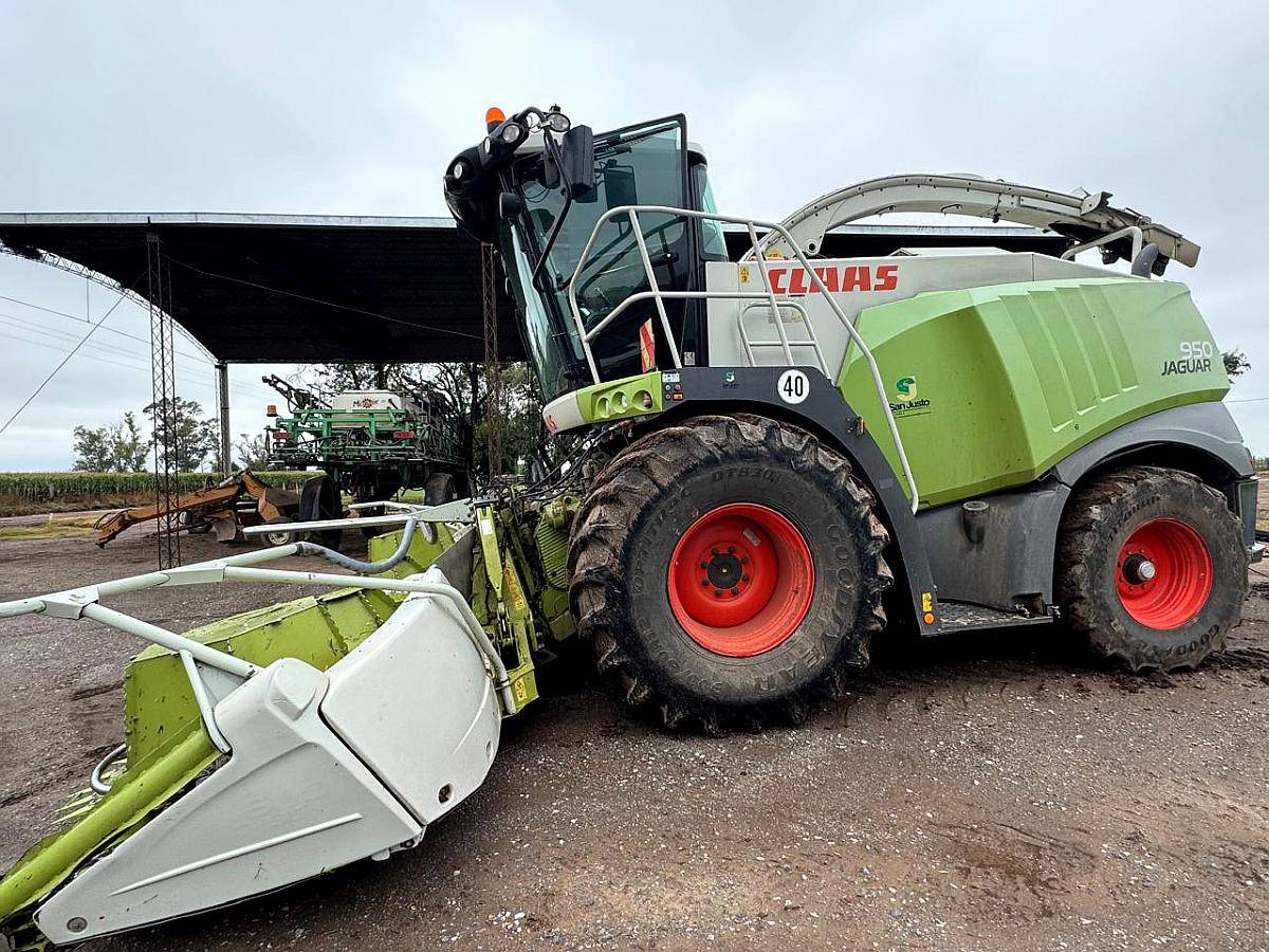 Picadora Jaguar 950 Claas