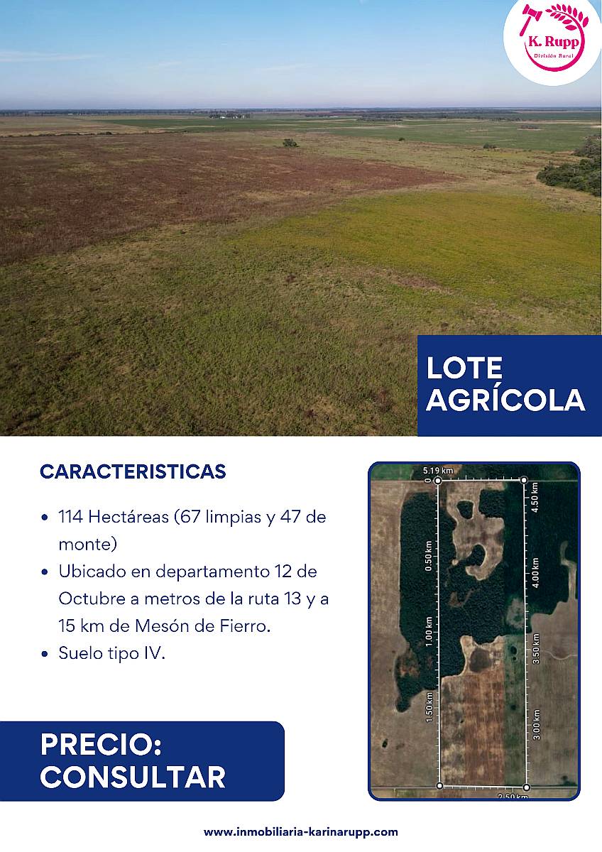 Lote - Campo de 114 Hectáreas en Zona Pinedo Chaco