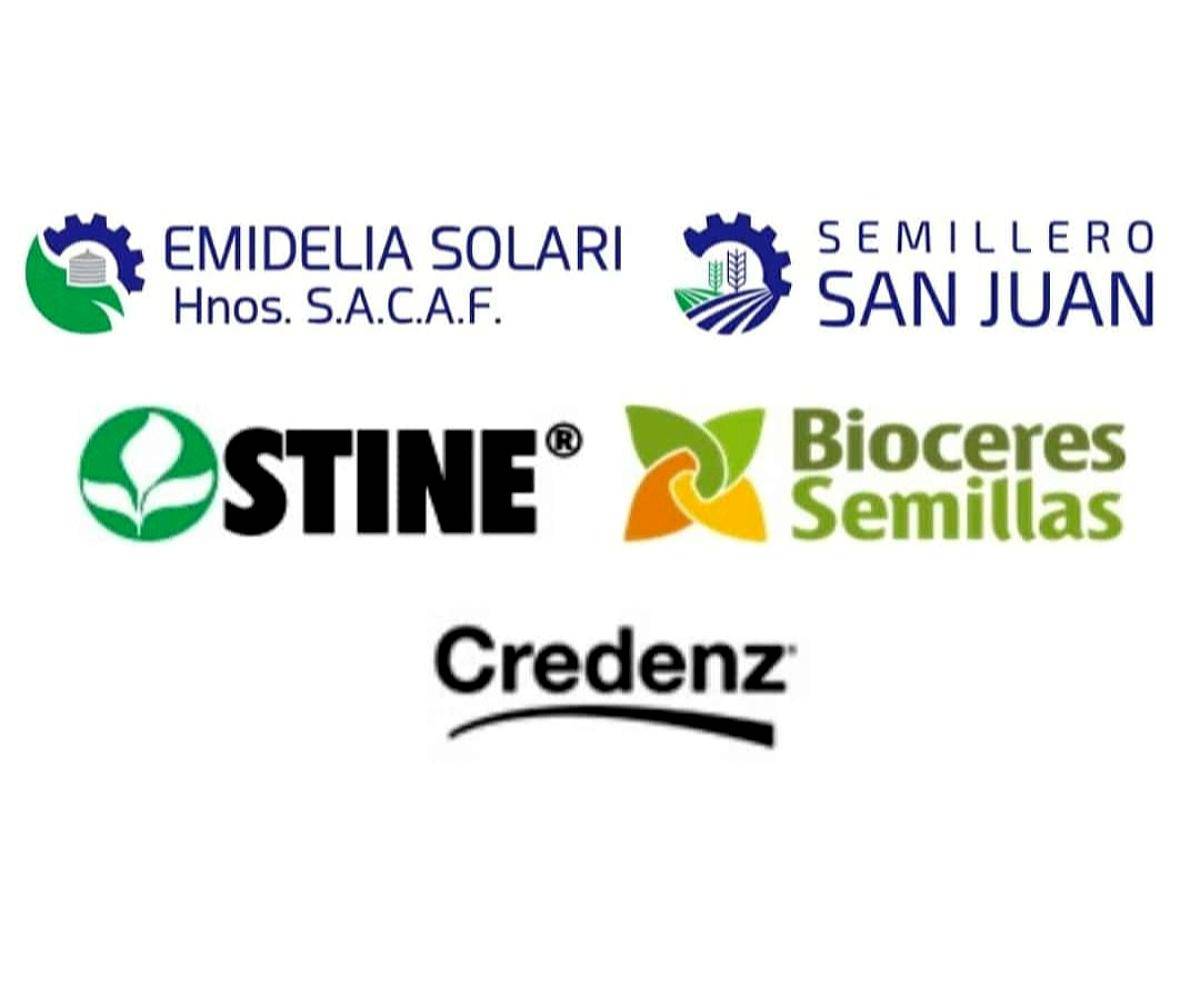 Semillas. Stine. Klein. Buck. Bioceres. Credenz