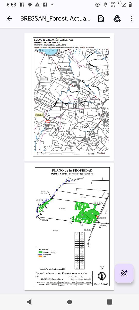 Campo Ganadero Forestal en Gdor Virasoro