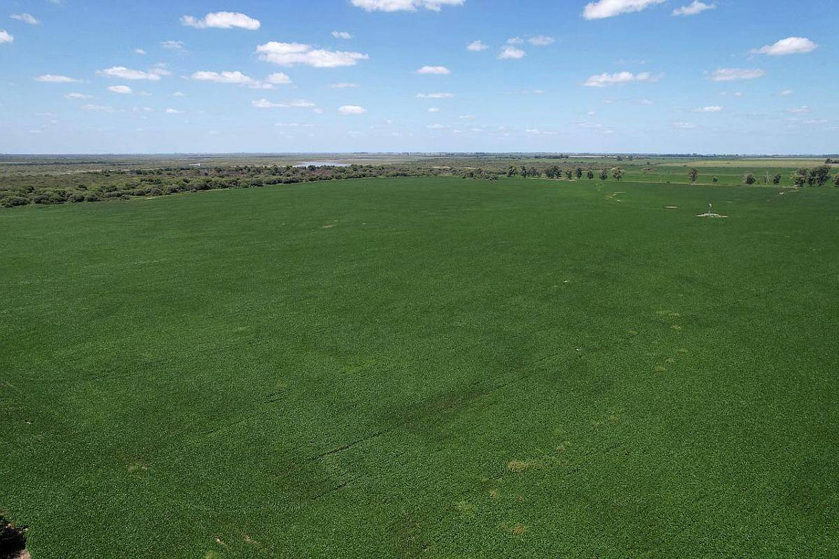 100 Has Agricolas Colonia Raquel/santa FE