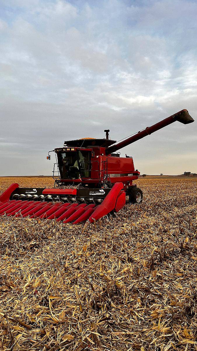 Cosechadora Case 2388 2010