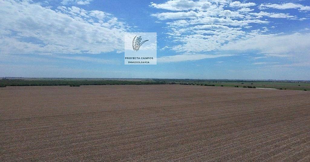 Se Venden 530 Has en Villa Maria-cba