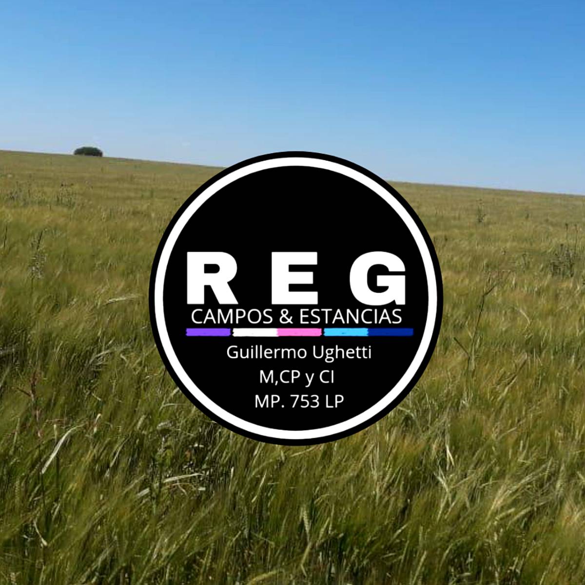 340 Has - Miguel Riglos