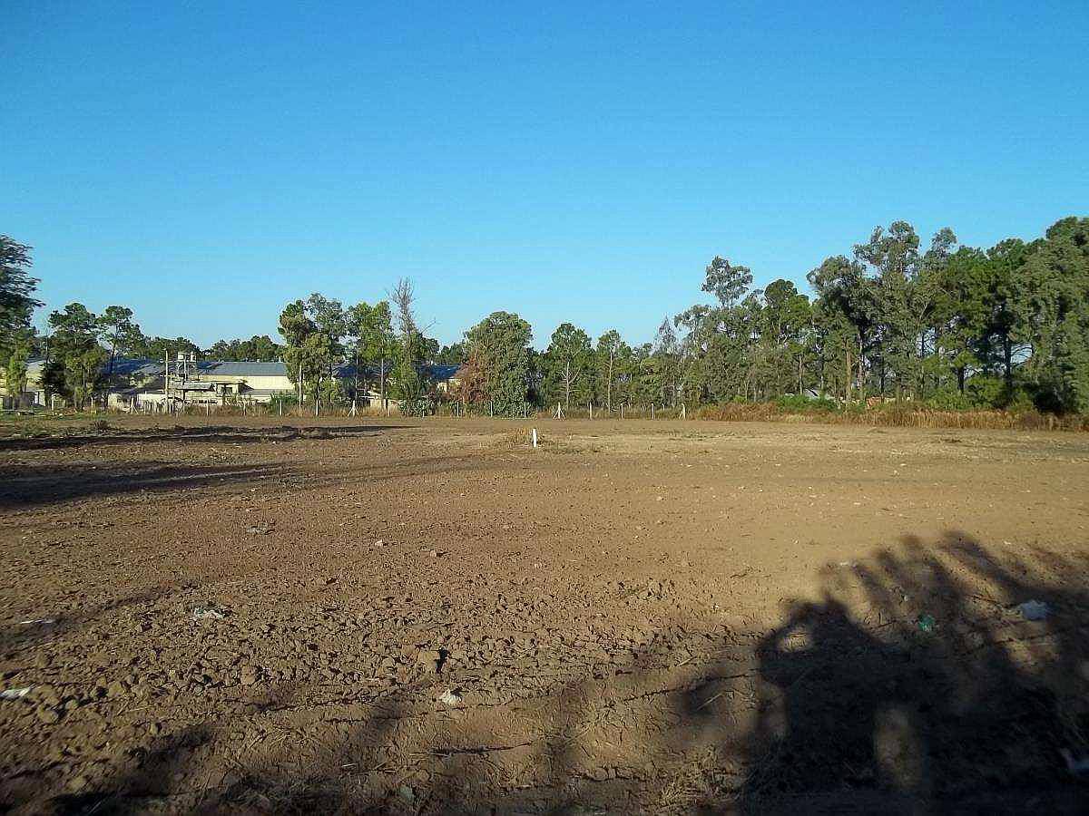 Excelente Loteo (25 Lotes de 300 M2 )