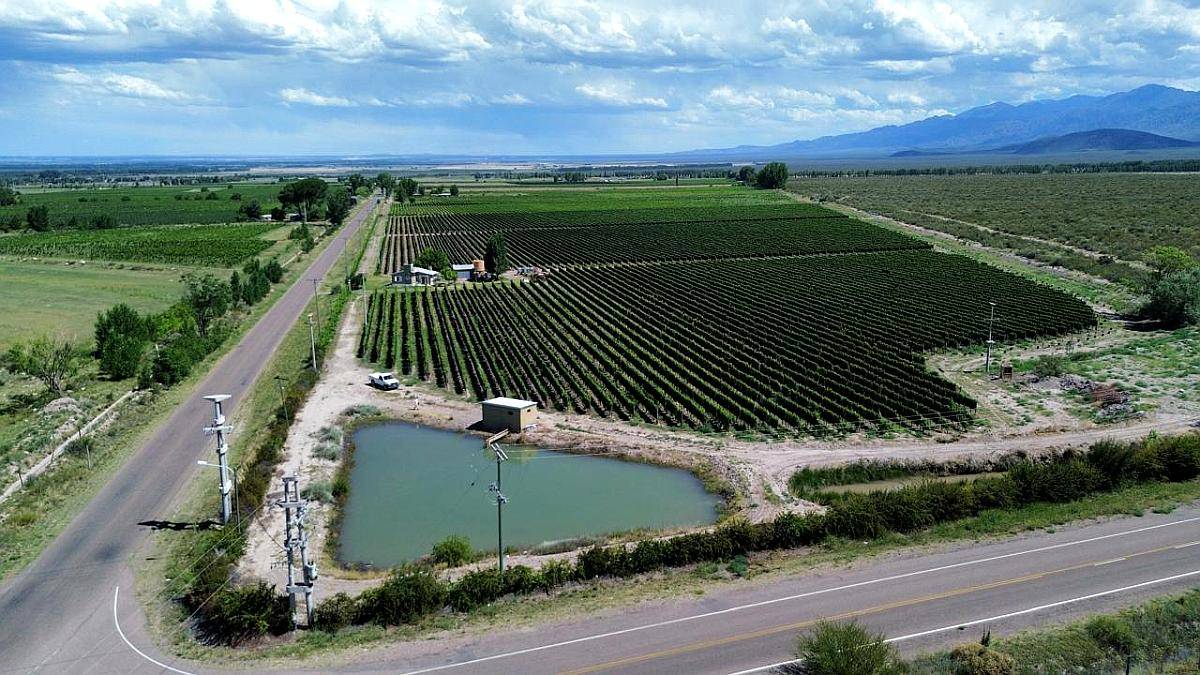 Finca con Viñedos de Alta Calidad - el Cepillo , Mendoza