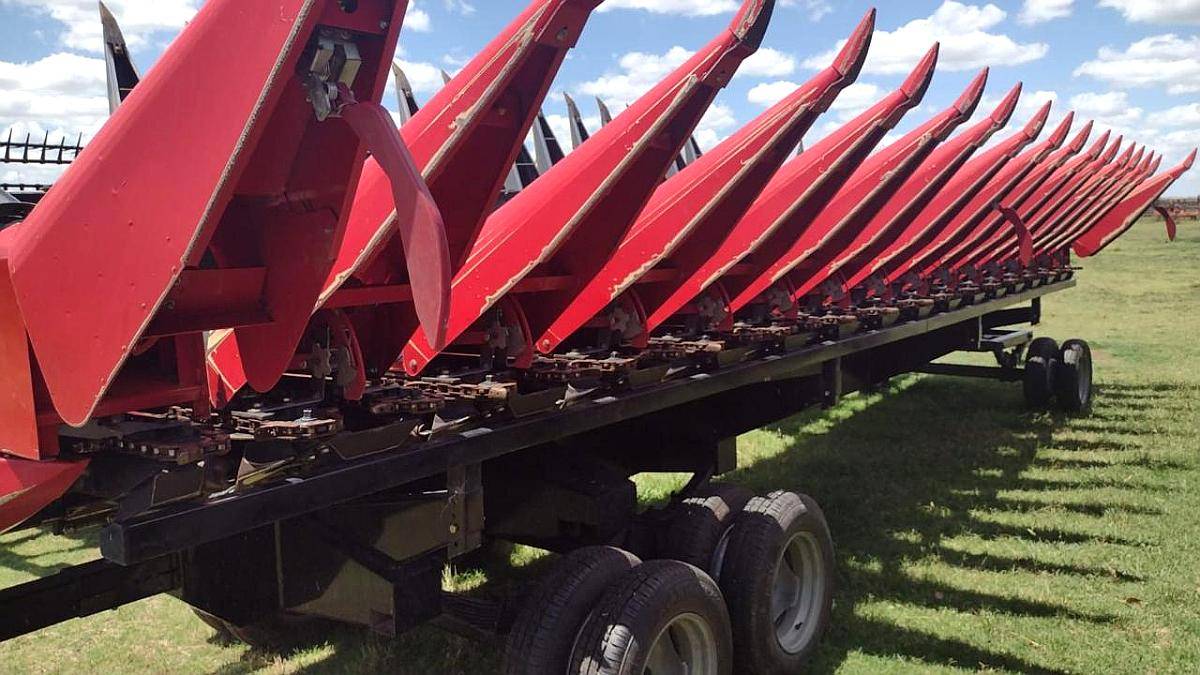 Maicero Franco Fabril. año 2024. 14 a 52 cm