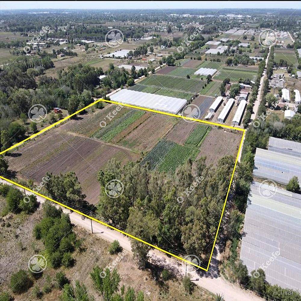 4 Has para Desarrollo en Berazategui Calle 517