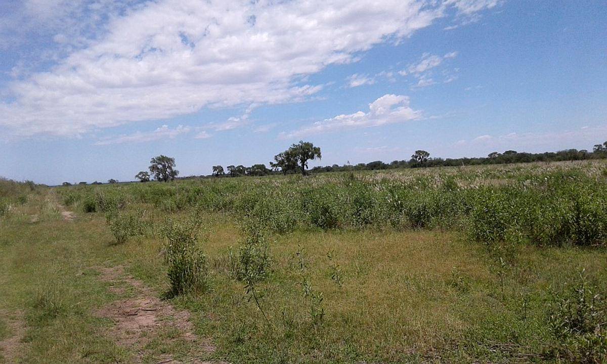 Venta Campo Ganadero - Zona Gobernador Dupuy - San Luis