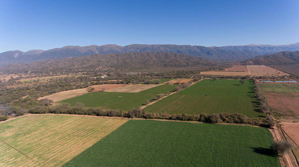 Pcia. de Salta - Talapampa 130 Has