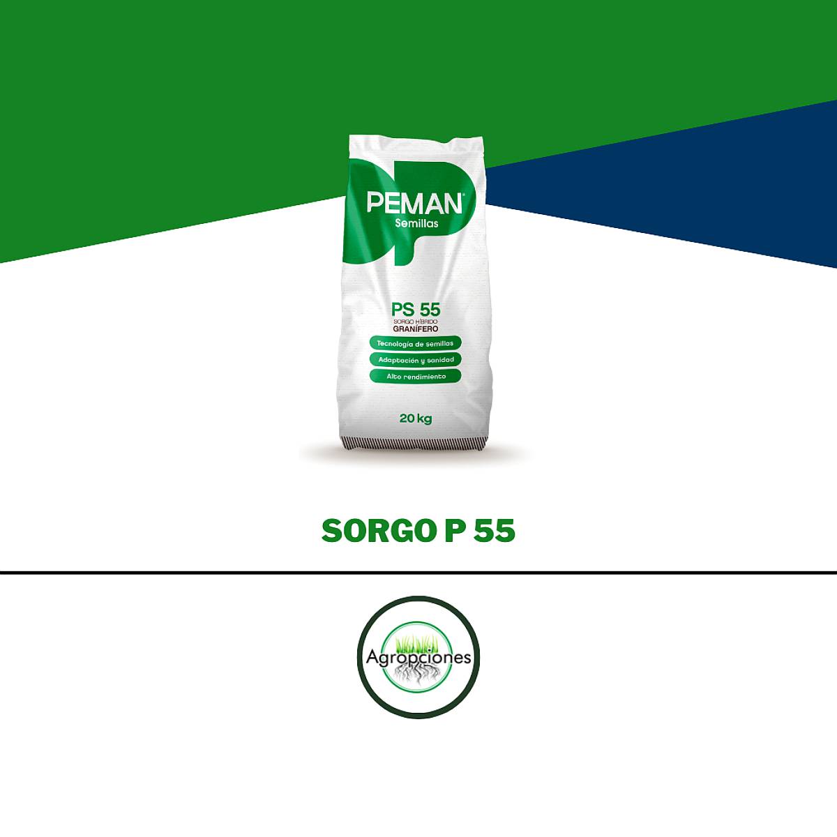 Semilla de Sorgo Granifero P55 - Peman Semillas