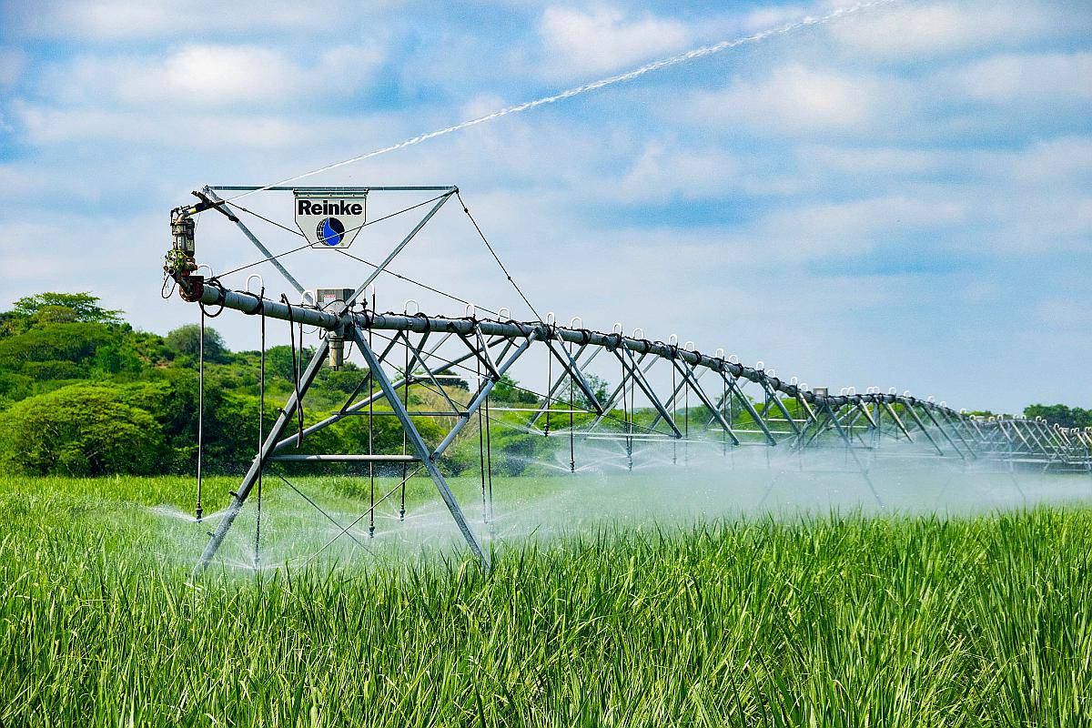 Pivot Central Fijo para Riego Reinke Electrogator II