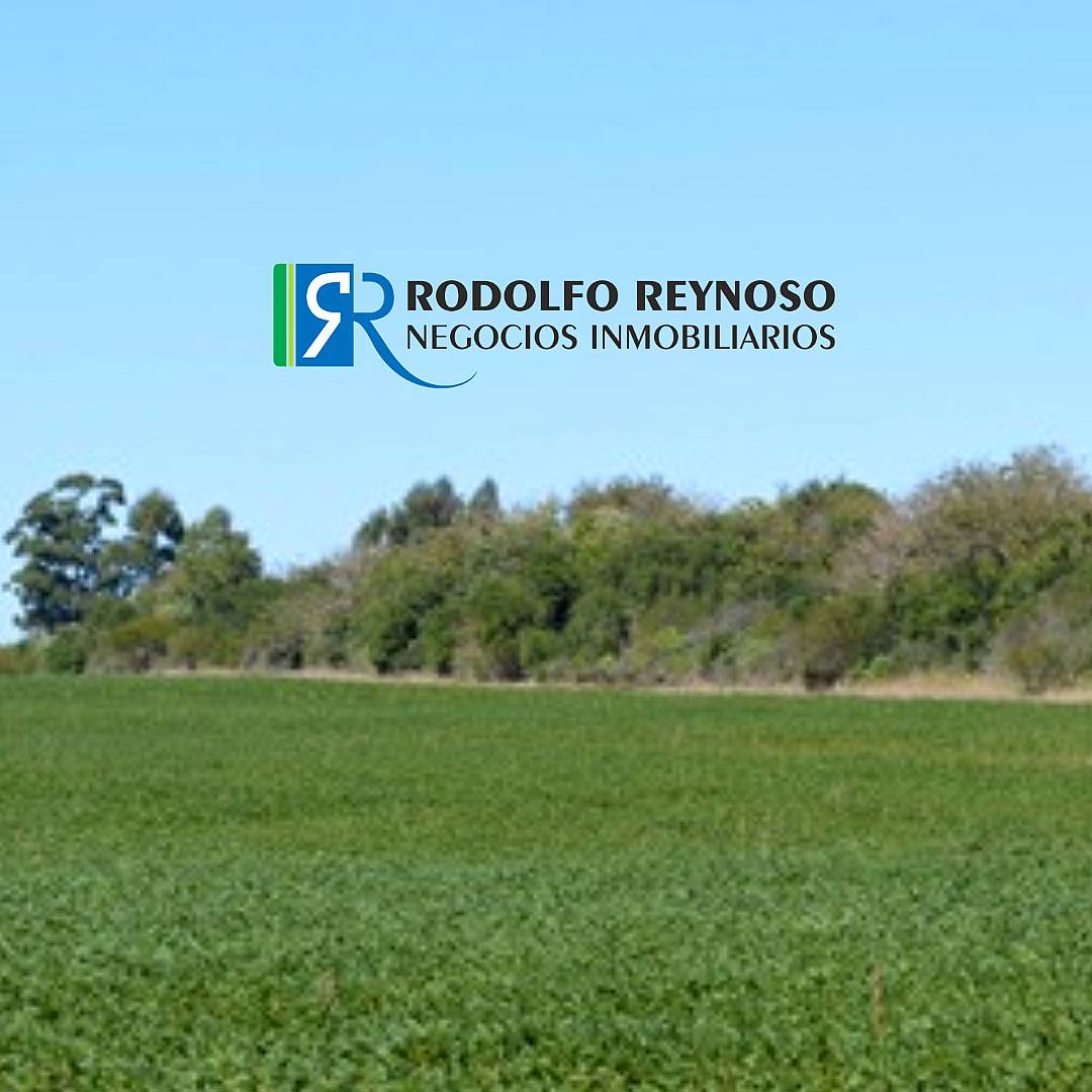 50 HA. en Colonia Elía (entre Ríos)