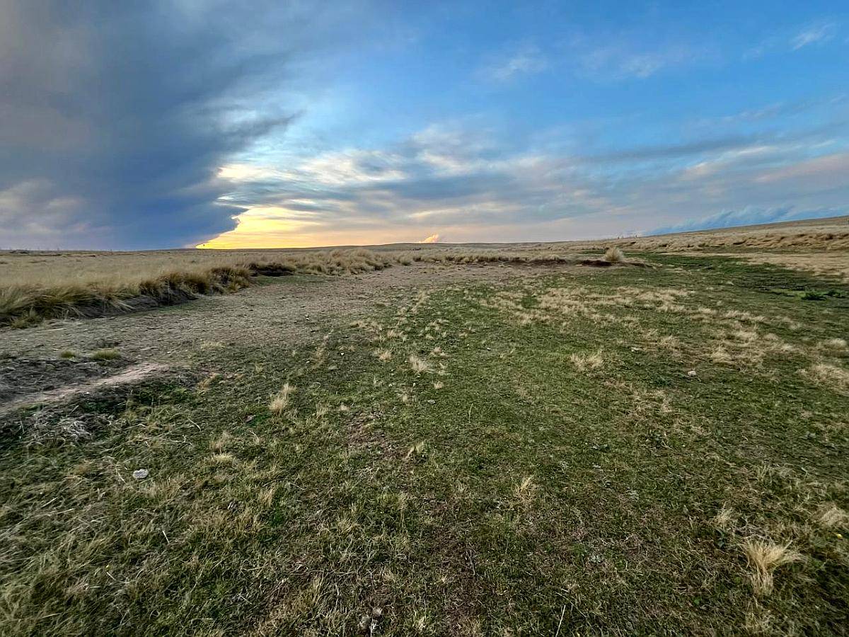 Venta Campo Ganaderas en la Carolina San Luis Paraíso