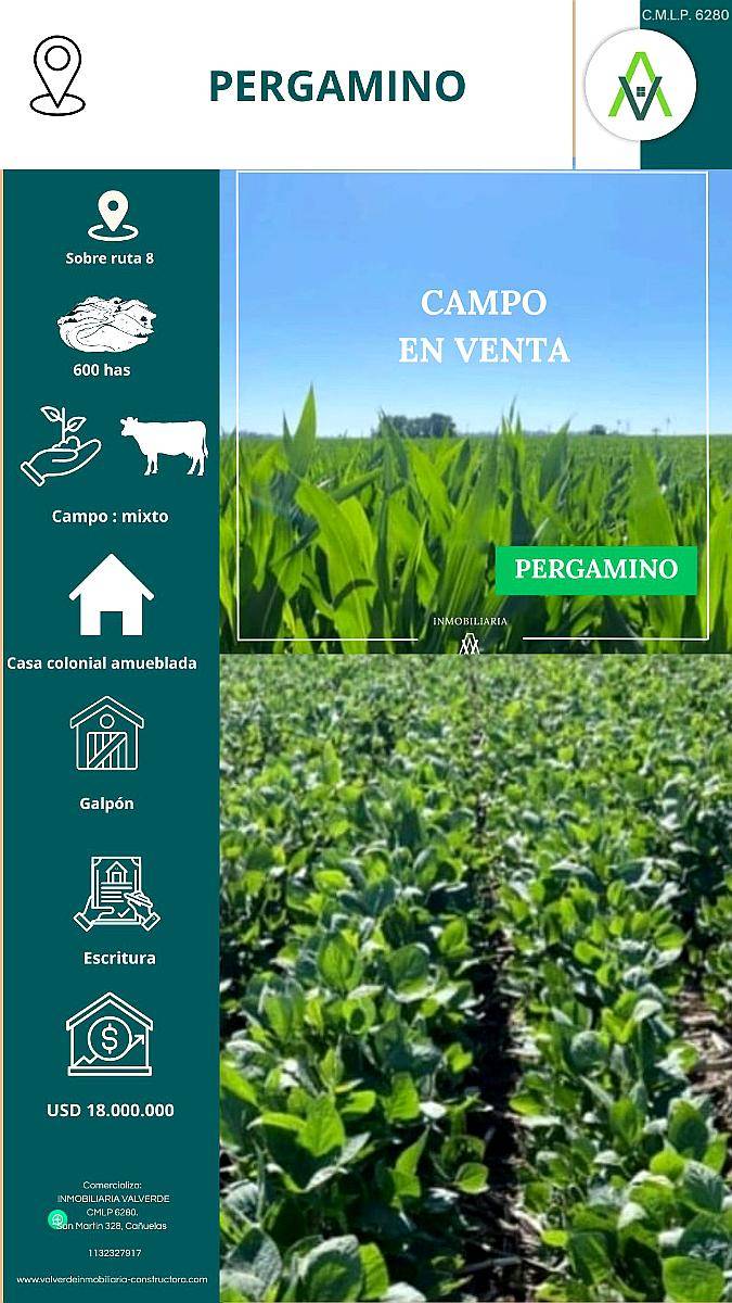 Campo en Pergamino 690 Has