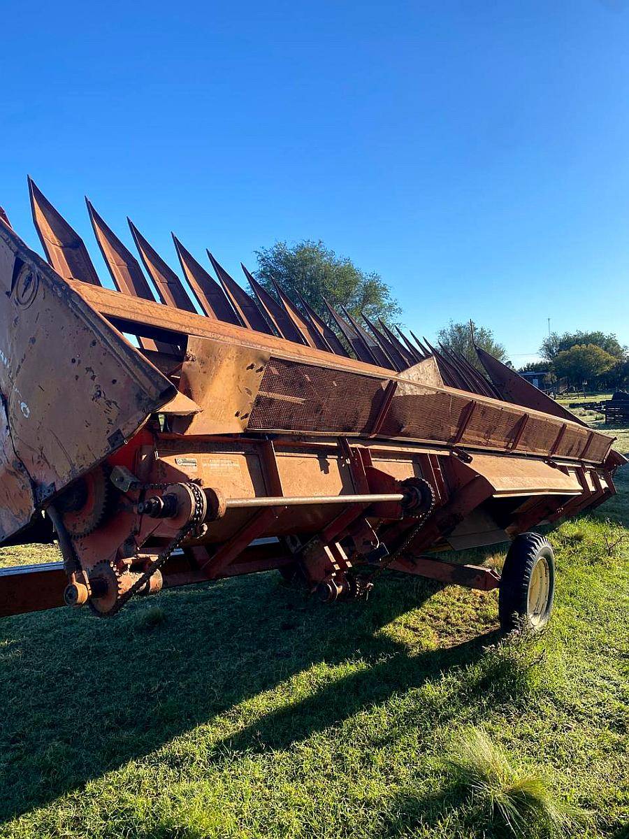 Girasolero Mainero 10 / 70