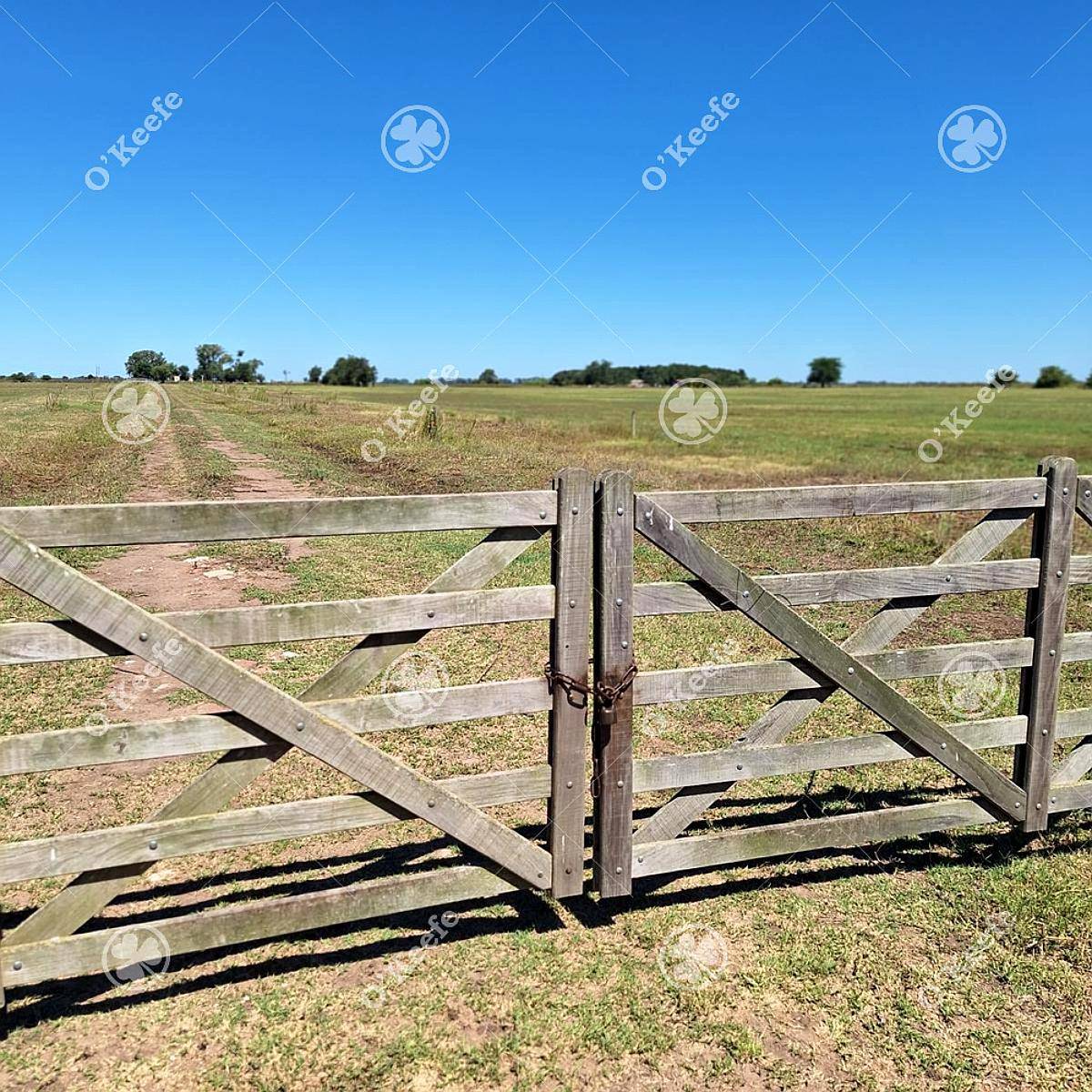 Campo Mixto en Venta 90 Has en Ranchos, con Buen Acceso