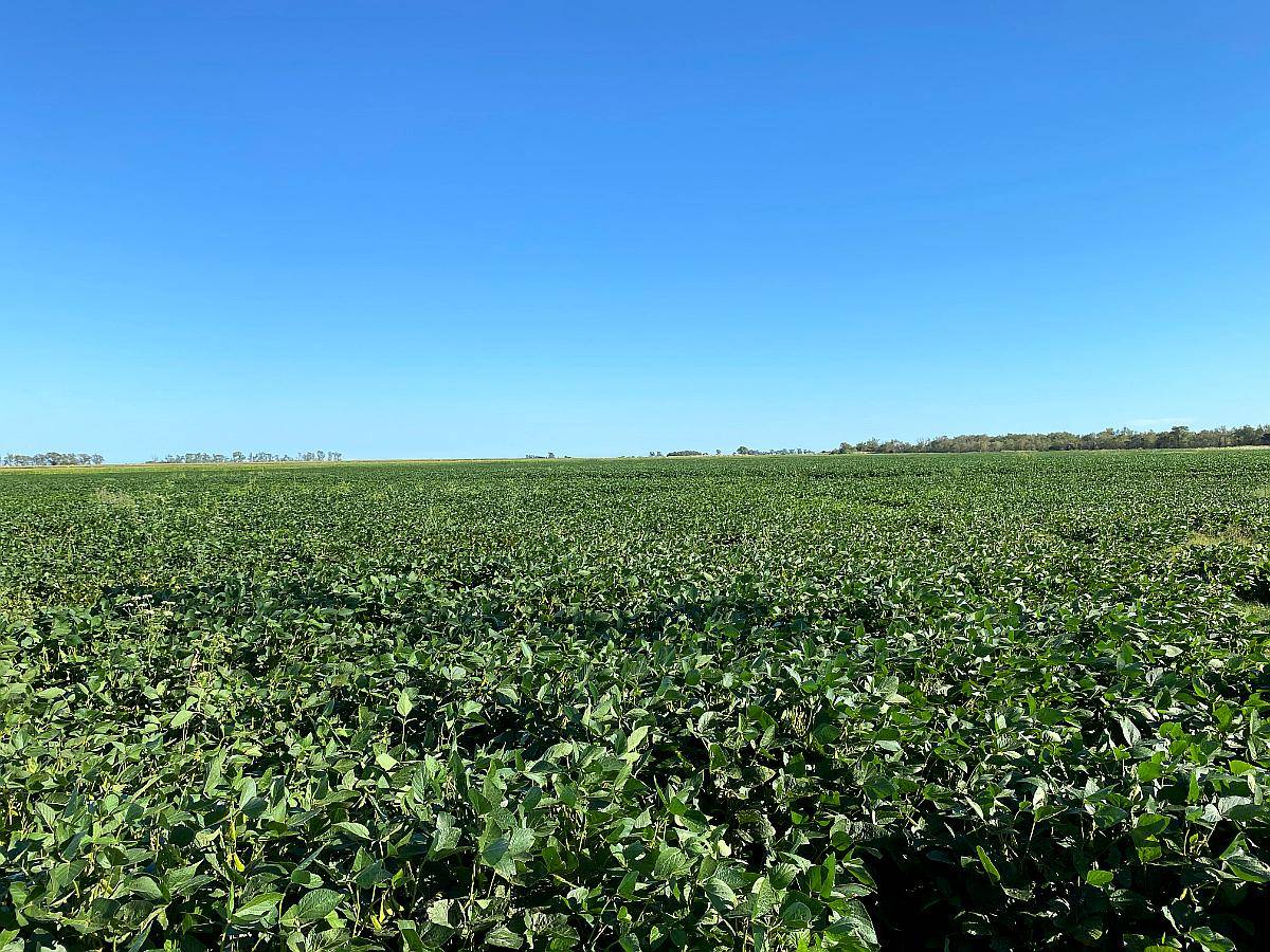 400 Has Agricolas en Quimili