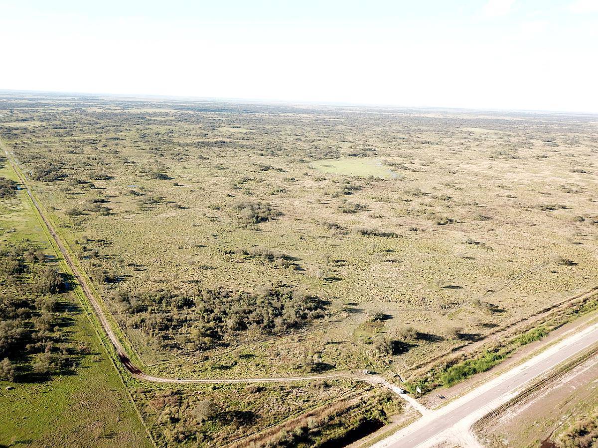 3260 Has Ganaderas Exclusivas S/rn 98 Asfaltada Tostado S F