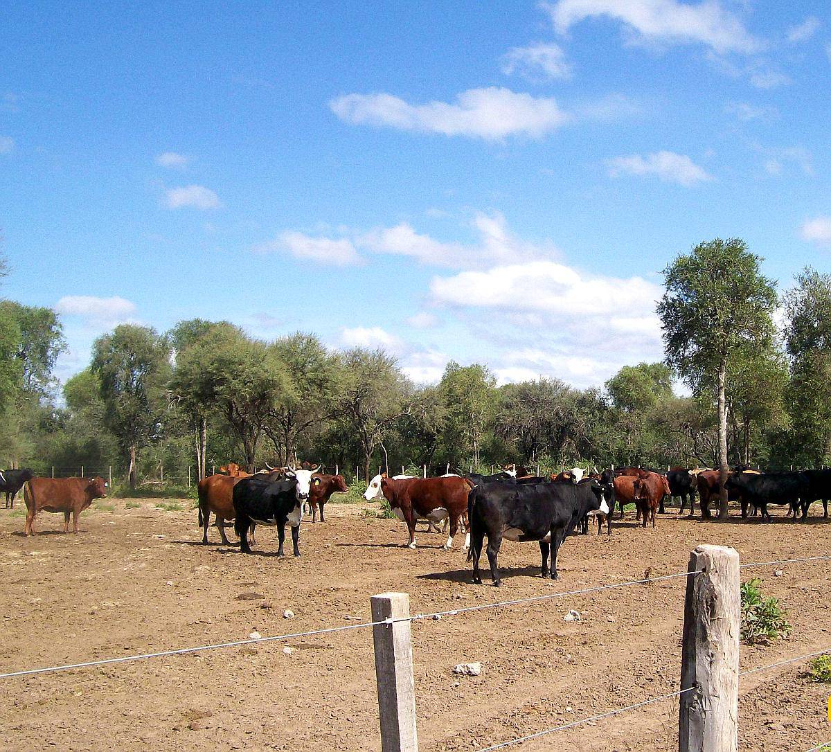 4.000 Ha Estancia en Urutau Sobre Ruta