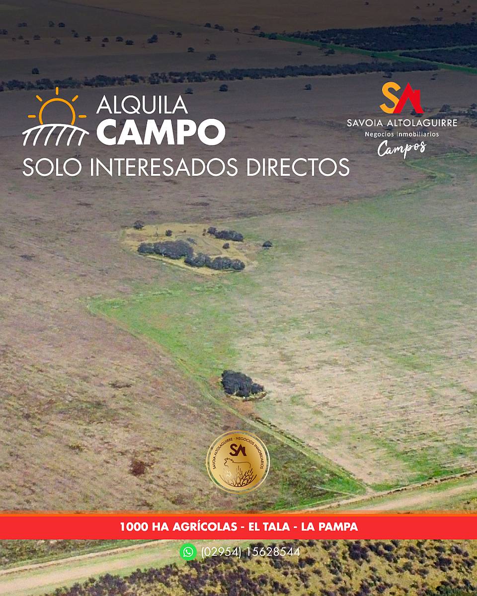 Alquila: Campo Agrícola de 1000 Ha en “EL Tala” la Pampa