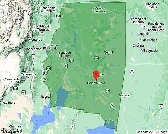 Vendo 56 Hectáreas. Colonia Dora