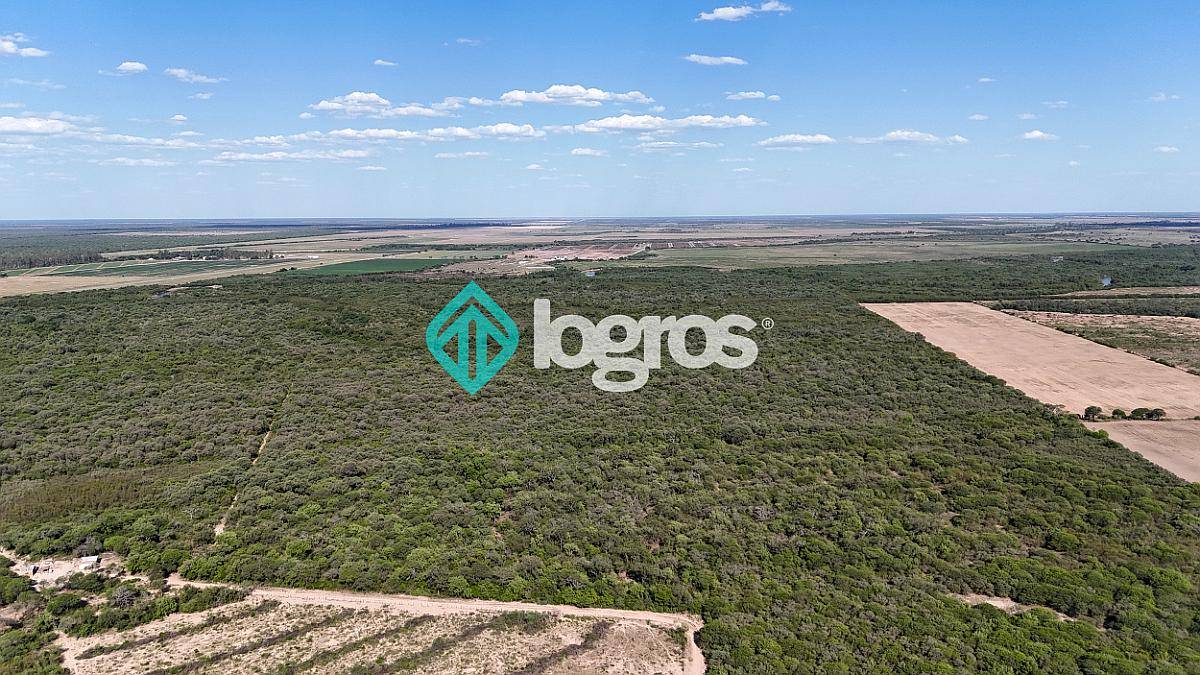 Campo en Venta de 385 Ha en Joaquín V. González, Salta