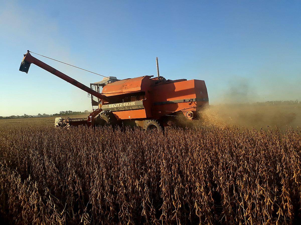 Repuesto de Deuz Farh