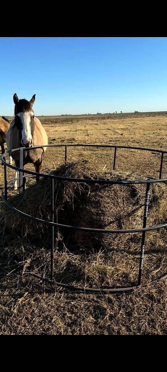 Aro Porta Rollo de Caño Mayor Resistencia
