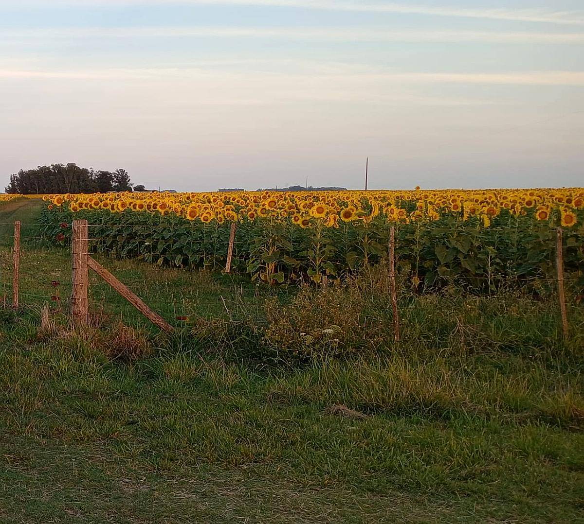 Gran Oportunidad en Lobería