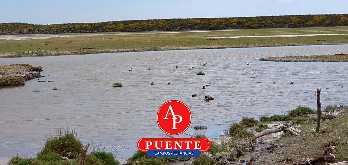 En Venta 12.500 HA. Puelén, la Pampa.