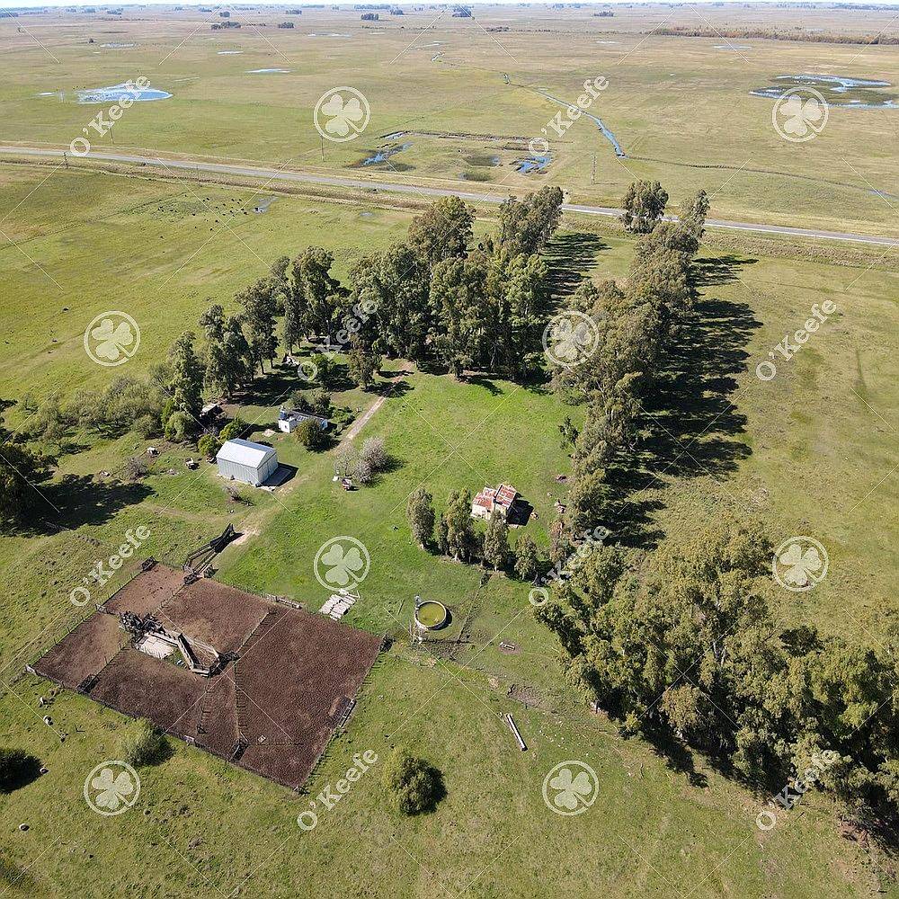 Campo en Venta de 1420 Has en Azul. Ganadero