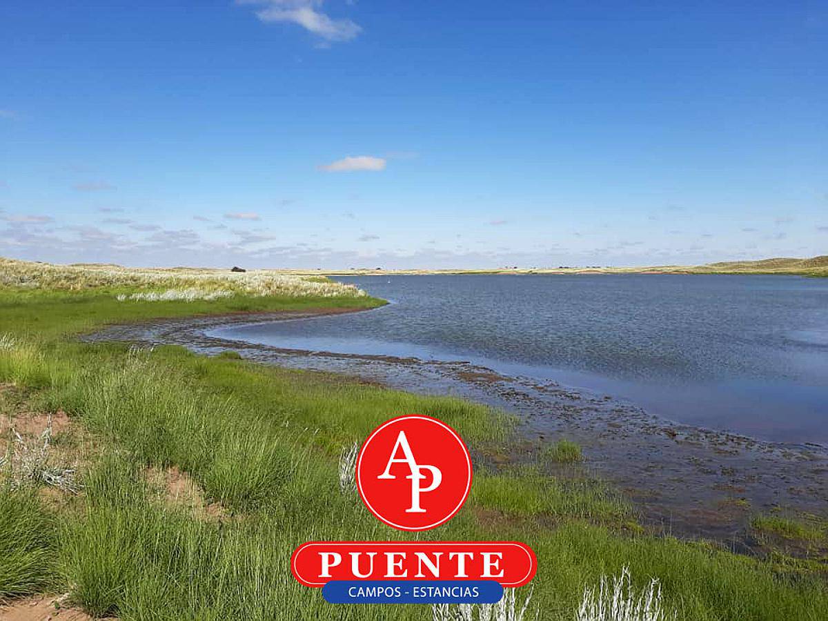 En Venta 5.000 Has Jaguel del Monte, la Pampa